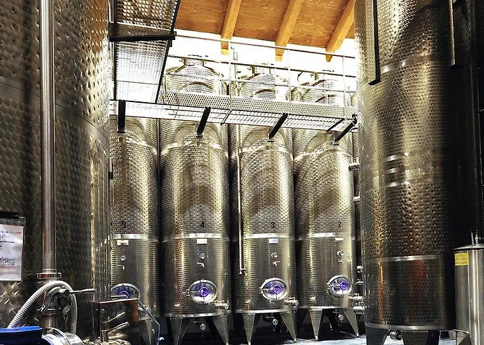 Terre PetrussaAgriturismo